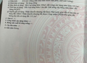 BÁN GẤP ĐẤT NHỰA AN LINH - PHÚ GIÁO - BÌNH DƯƠNG - GIÁ GIẢM 50%