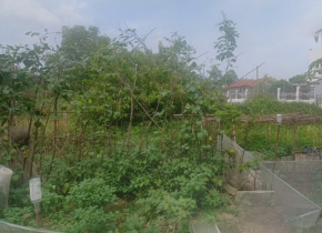 Chính chủ cần bán 2.469m2 đất Q09. Giá 27 tỷ