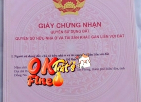 Bán đất phường Tân Phong Biên Hòa giá rẻ, chính chủ sổ đỏ, cần tiền bán gấp!