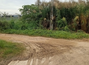 Chủ kẹt tiền cần bán gấp 2MT 2000m2 (20x100) mặt sông, đường nhựa 7m, Phường Phú Hữu, Quận 9