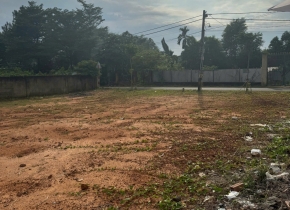 Thanh toán 300 triệu sỡ hữu ngay lô đất đường nhựa 20m, sổ sẵn thổ cư, công chứng sang tên ngay.